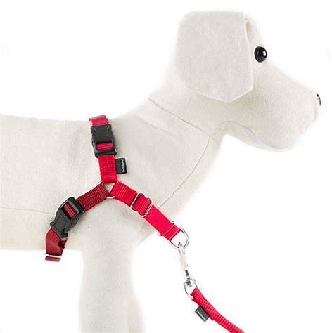 Arnes Easy Walk S Rojo