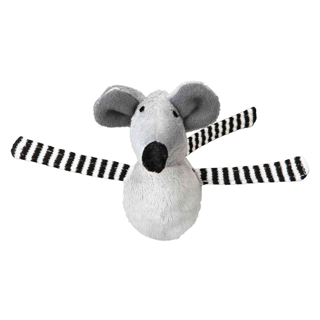 Raton pie