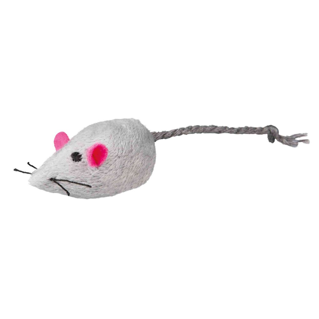 Raton