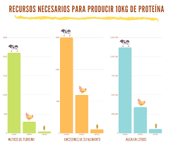 Yora 1,5kg