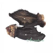 Oreja Bufalo con Pelo