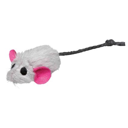 Raton
