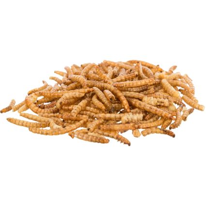 Gusano de la Harina Deshidratado 200gr
