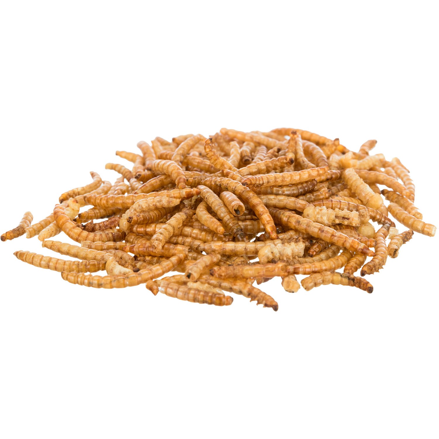 Gusano de la Harina Deshidratado 200gr