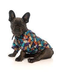 Fuzzyard Camisa Mahalo T3