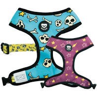 Dukier Arnes Calavera XL