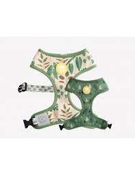 Dukier Arnes Calavera XL