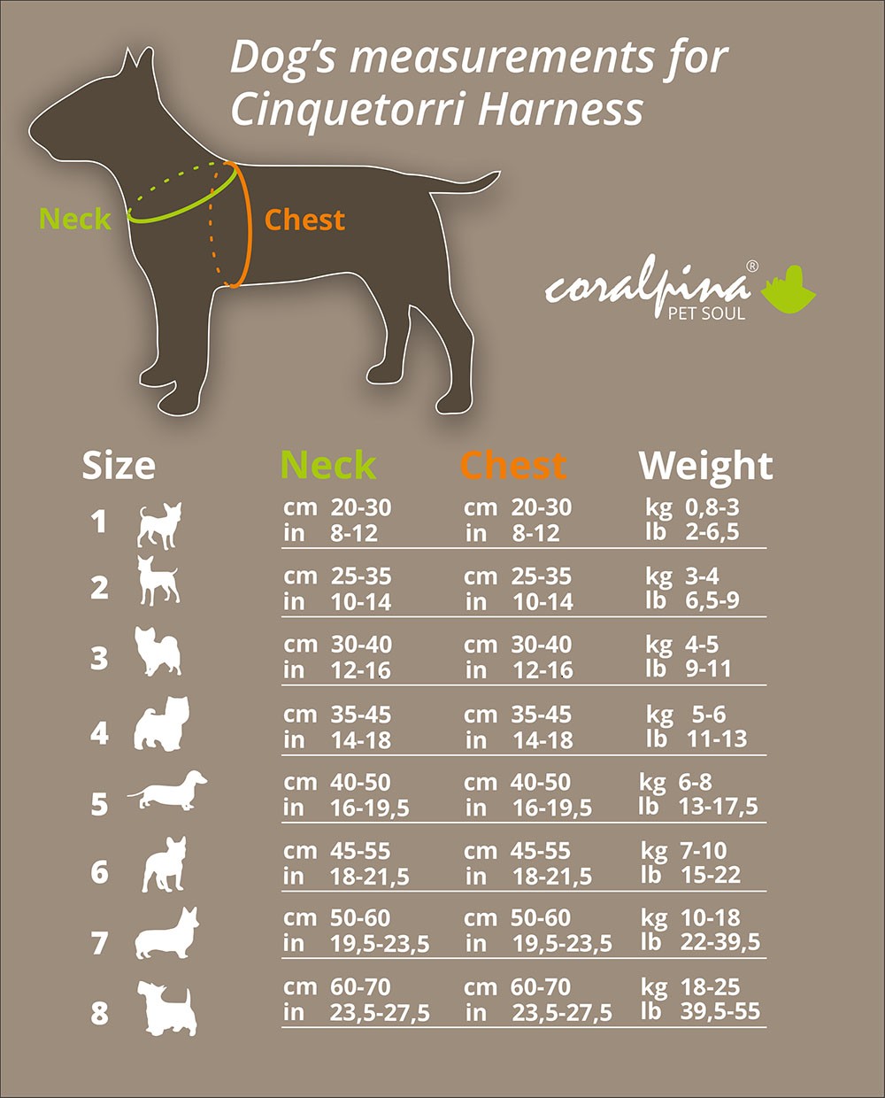 Arnes Coralpina T3 Lila