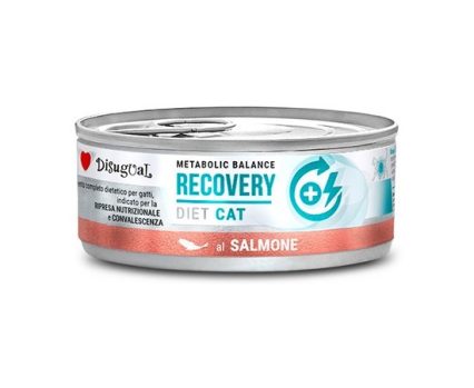 Dieta Recovery Salmon, 85gr