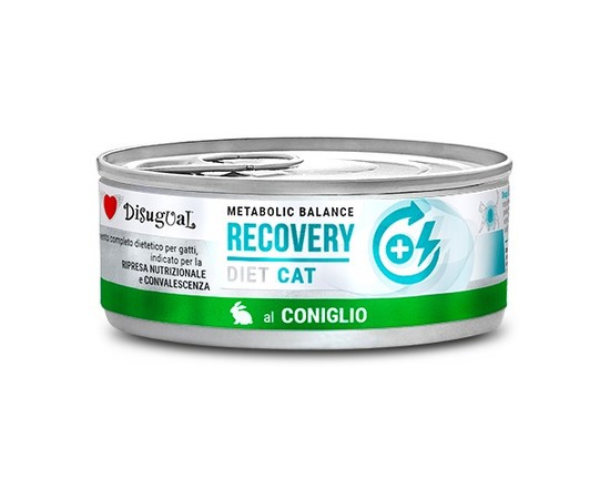 Dieta Recovery Conejo