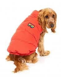 Chaqueta Ashbury Talla3